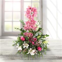 Orchid Arrangement 