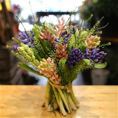 Hyacinthus Handtied 