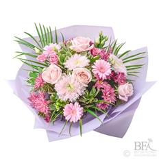 Pink Blush - BFA