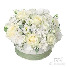 Snow White Arrangement - BFA 