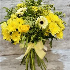 Little Miss Sunshine