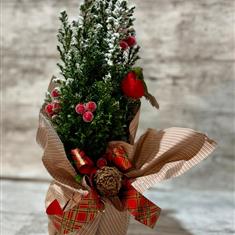 Mini Christmas tree