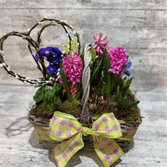 Mothering Sunday Spring Bulb Basket