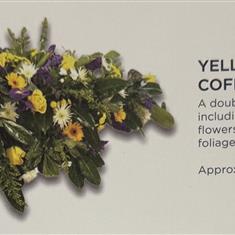 Yellow and purple coffin sprat