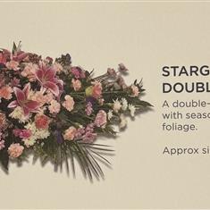 Stargazer lil double end spray