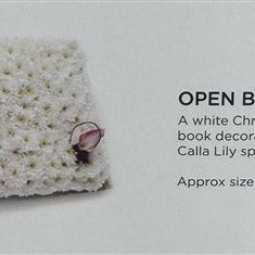 Open book 24-03-2026 13 08 04