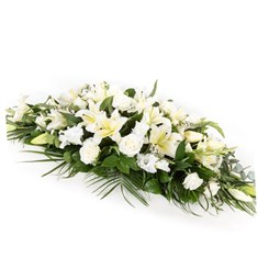 Coffin Spray Cream