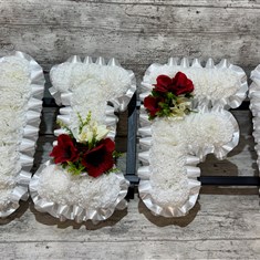 WIFE White and Red rental