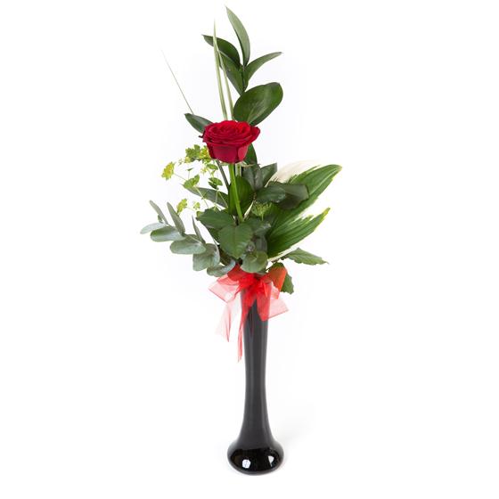 Single Red Rose in Sleek Black Vase Janet & Jaynes Florist Wisbech