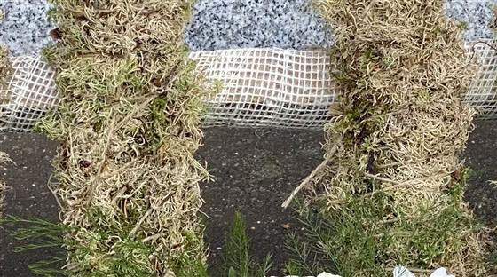 Biodegradable Lettering